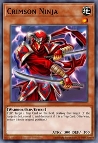 Ninja Deck YGOPRODeck