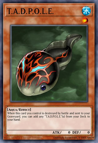 t-a-d-p-o-l-e-yu-gi-oh-card-database-ygoprodeck