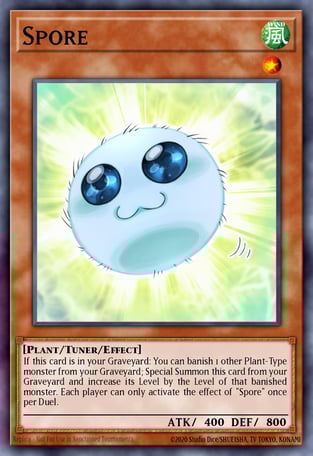 Spore