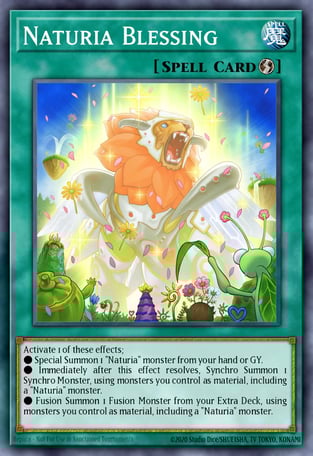 Naturia Blessing
