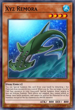 Xyz Remora