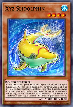 Xyz Slidolphin