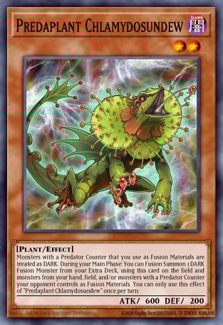 Predaplant Chlamydosundew