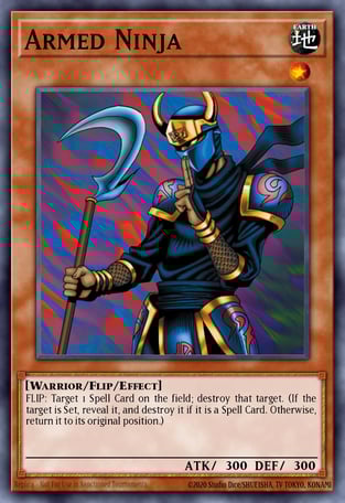 Armed Ninja