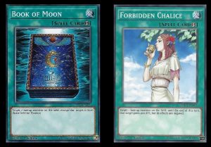 Book of Moon and Forbidden Chalice