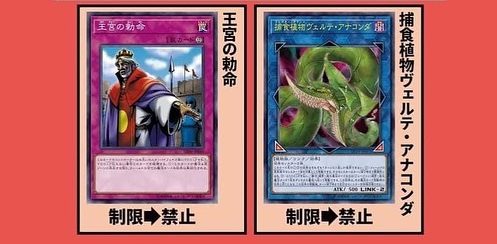 yugioh legacy of the duelist banlist